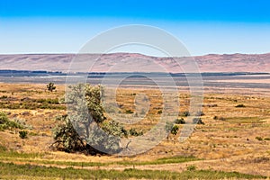 Eastern Washington Palouse vast expanse desert view with blue sky and clouds