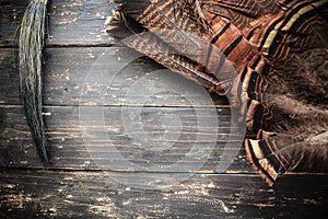 Eastern Wild Turkey Feathers and Beard