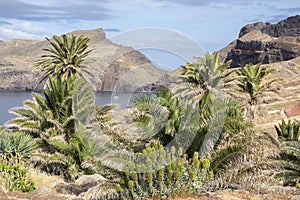 Easternmost part of the island Madeira, Ponta de Sao Lourenco, Canical town, peninsula, dry climate