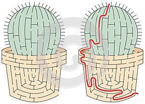 Easy cactus maze