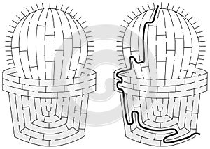 Easy cactus maze