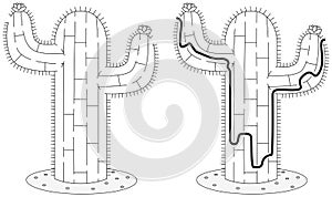 Easy cactus maze