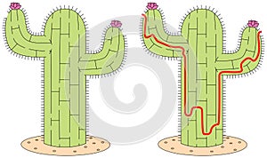 Easy cactus maze