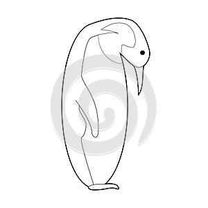 Easy Coloring Animals for Kids: Emperor Penguin