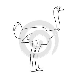 Easy Coloring Animals for Kids: Ostrich