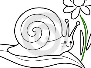Easy Snail with a Spiral Shell, Kids Coloring Page Featuring a Cute Snail photo
