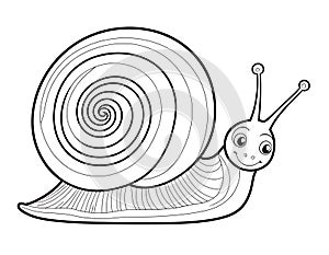 Easy Snail with a Spiral Shell, Kids Coloring Page Featuring a Cute Snail photo