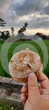 Eat small pancake in the ricefield