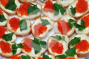 Eatable background of red caviare sandwiches photo