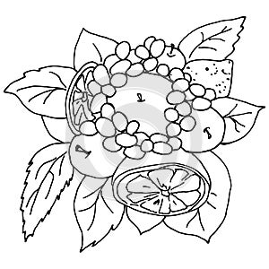 Eatable fruit bouquet doodle vector