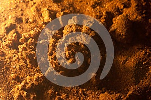 Spent red pepper with bugs