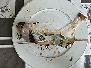 Eaten trout with herbs on a plate