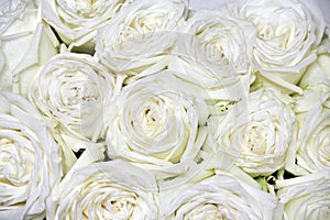 Eater concept word cloud