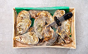 Eating of fresh big raw fine de claires vertes green french oysters from Marennes-Oleron