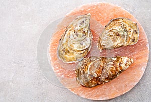 Eating of fresh big raw fine de claires vertes green french oysters from Marennes-Oleron