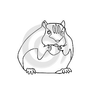 Eating hamster. Animal vector illustration. Doodle stylized image. Sketch style.