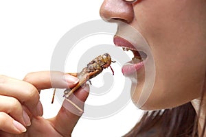 Eating insect