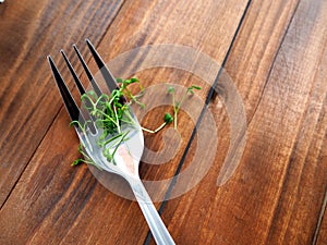 Microgreens sprouts on a fork