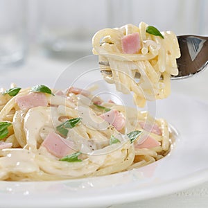 Eating Spaghetti Carbonara noodles pasta meal on a plate with fork