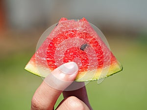 Eating water melon