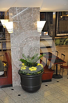 Eating Zone inside Brookfield Place in Toronto of Ontario Province Canada