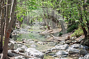 Eaton Canyon Stream running alongside Eaton Falls Trail Hike in Pasadena near Los Angeles, California