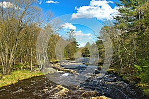 The Eau Claire River flowing through a forest on a sunny Spring day. photo