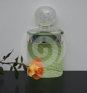 Eau de Rochas, fragrance for ladies, large perfume bottle decorated with an English rose photo