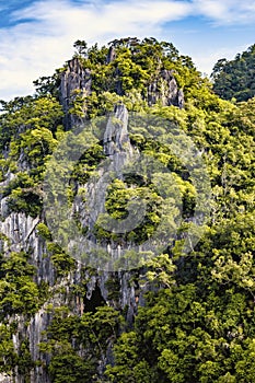 Eautiful view of rock cliffs with tree background photo