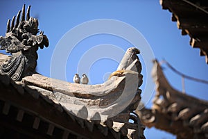 Eave of the Chinese ancient building photo