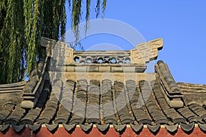 eaves of Chinese landscape architecture