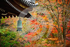 The eaves of the temple roof have rust-green bells, the background of the garden in autumn