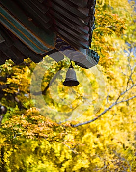 Eaves and wind chimes of Chinese classical architecture