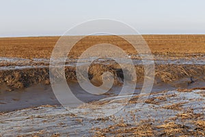 After the ebb, beautiful scenery of the hangzhou bay wetland in China