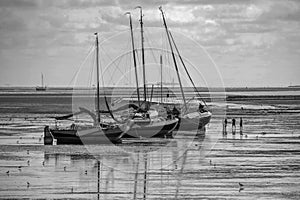 Ebb tide near Vlieland