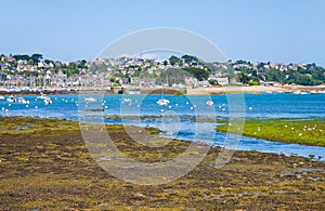 Ebb of tide water in Brittany