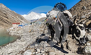 EBC Trekking Himalaya