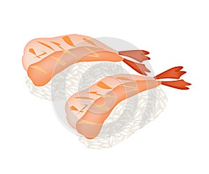 Ebi Sushi or Shrimp Nigiri on White Background