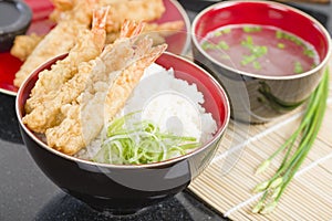 Ebi Tendon