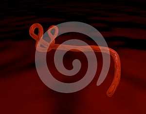 Ebola