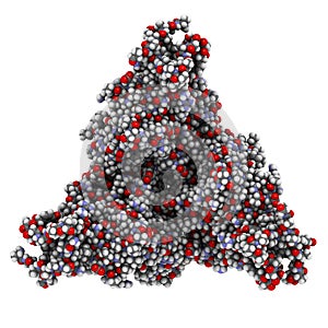 Ebola virus glycoprotein GP, molecular structure. Occurs as spikes on ebola virus surface; target for vaccine development.