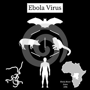 Ebola Virus. Infographics Source of disease. White on black photo