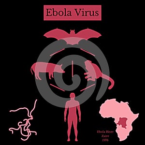 Ebola Virus. Infographics Source of disease. Black and red