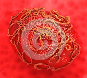 Ebola Virus Surrounding Cell