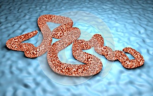 Ebola Virus under a microscope danger contagion epidemic