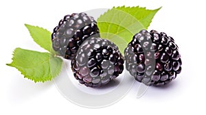 Ebon Essence: Captivating Blackberry on White photo