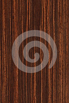 Ebony (wood texture) photo