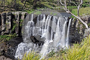 Ebor Falls - NSW