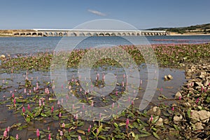 Ebro reservoir, Burgos