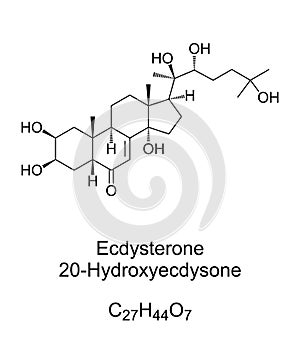 Ecdysterone, 20E, chemical structure, molting hormones in insects